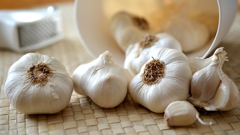 Manfaat Bawang Putih, manfaat bawang putih tunggal, manfaat bawang putih untuk kesehatan, manfaat bawang putih untuk pria, manfaat bawang putih untuk wanita, manfaat bawang putih bakar, manfaat bawang putih rebus, manfaat bawang putih dan madu, manfaat bawang putih tunggal direndam madu, manfaat bawang putih adalah, manfaat bawang putih apa, manfaat bawang putih ayam, manfaat bawang putih ayam aduan, manfaat bawang putih alat vital, manfaat bawang putih adalah brainly, manfaat bawang putih asam lambung, manfaat bawang putih asap, manfaat bawang putih bakar dan madu, manfaat bawang putih bagi kesehatan, manfaat bawang putih bakar untuk pria, manfaat bawang putih busuk, manfaat bawang putih brainly, manfaat bawang putih bagi wajah, manfaat bawang putih bakar untuk kesehatan, manfaat bawang putih campur madu, manfaat bawang putih campur gula merah, manfaat bawang putih campur madu untuk pria, manfaat bawang putih campur susu, manfaat bawang putih campur jeruk nipis, manfaat bawang putih campur jahe, manfaat bawang putih campur air hangat, manfaat bawang putih cutting, manfaat bawang putih dan jahe untuk mr p, manfaat bawang putih di telinga, manfaat bawang putih direndam air panas, manfaat bawang putih dibakar, manfaat bawang putih dan bawang merah, manfaat bawang putih direndam madu, manfaat bawang putih di bawah bantal, manfaat bawang putih emas, manfaat bawang putih ejakulasi dini, manfaat bawang putih dan efek sampingnya, manfaat bawang putih untuk entok, manfaat bawang putih untuk ejakulasi dini, manfaat bawang putih untuk eksim, manfaat bawang putih untuk ereksi, manfaat bawang putih untuk epilepsi, manfaat bawang putih fermentasi, manfaat bawang putih fermentasi madu, manfaat bawang putih fermentasi alami, manfaat bawang putih fermentasi untuk kesehatan, khasiat bawang putih fermentasi, kegunaan bawang putih fermentasi, khasiat bawang putih fermentasi madu, manfaat bawang putih untuk flek hitam di wajah, manfaat bawang putih goreng, manfaat bawang putih goreng bagi kesehatan, manfaat bawang putih goreng buat kesehatan, manfaat bawang putih golden, manfaat bawang putih garlic, manfaat bawang putih golden garlic, manfaat bawang putih garlik, manfaat bawang putih gold, manfaat bawang putih hitam, manfaat bawang putih hitam tunggal, manfaat bawang putih hitam untuk ginjal, manfaat bawang putih hitam untuk pria, manfaat bawang putih hitam untuk lambung, manfaat bawang putih hitam untuk ibu hamil, manfaat bawang putih hitam lanang, manfaat bawang putih hipertensi, manfaat bawang putih jantan, manfaat bawang putih jika dimakan mentah, manfaat bawang putih jerawat, manfaat bawang putih jahe lemon cuka apel dan madu, manfaat bawang putih jeruk nipis dan madu, manfaat bawang putih jahe dan madu, manfaat bawang putih jurnal, manfaat bawang putih jawa, manfaat bawang putih kating, manfaat bawang putih kukus, manfaat bawang putih kuning, manfaat bawang putih kecil, manfaat bawang putih kecuali, manfaat bawang putih kering, manfaat bawang putih kantil, manfaat bawang putih kukus untuk tubuh, manfaat bawang putih lanang, manfaat bawang putih lanang dan madu, manfaat bawang putih lanang untuk pria, manfaat bawang putih lanang menurut dokter, manfaat bawang putih laki, manfaat bawang putih lanang direndam madu, manfaat bawang putih lanang hitam, manfaat bawang putih lanang dan madu untuk pria, manfaat bawang putih mentah, manfaat bawang putih madu, manfaat bawang putih mentah dimakan, manfaat bawang putih matang, manfaat bawang putih madu dan jeruk nipis, manfaat bawang putih mentah bagi kesehatan, manfaat bawang putih mentah dan madu, manfaat bawang putih mentah untuk pria, manfaat bawang putih tunggal untuk pria, manfaat bawang putih tunggal hitam, manfaat bawang putih tunggal dan madu, manfaat bawang putih tunggal untuk kesehatan, manfaat bawang putih tunggal jahe merah lemon cuka apel madu, manfaat bawang putih tunggal bakar, manfaat bawang putih oven, manfaat bawang putih open, manfaat bawang putih obat kuat, manfaat bawang putih oven untuk kesehatan, manfaat bawang putih obat gatal, manfaat bawang putih obat sakit gigi, manfaat bawang putih obat tradisional, manfaat bawang putih obat hiv, manfaat bawang putih panggang, manfaat bawang putih pada kulit gatal, manfaat bawang putih panggang bagi pria, manfaat bawang putih panggang untuk kesehatan, manfaat bawang putih plus madu, manfaat bawang putih pada ayam, manfaat bawang putih pada masakan, manfaat bawang putih pada wajah, manfaat bawang putih untuk kesehatan dan kecantikan, manfaat bawang putih dan merah, manfaat bawang putih rendam madu, manfaat bawang putih rebus dan madu, manfaat bawang putih rendam air panas, manfaat bawang putih rice cooker, manfaat bawang putih rambut, manfaat bawang putih rebus untuk diet, manfaat bawang putih rendam, manfaat bawang putih sama madu, manfaat bawang putih sangrai, manfaat bawang putih sebelum tidur, manfaat bawang putih sebagai obat, manfaat bawang putih saat memasak nasi, manfaat bawang putih sebagai tanaman obat keluarga, manfaat bawang putih sebelum makan, manfaat bawang putih saat menanak nasi, manfaat bawang putih untuk wajah, manfaat bawang putih untuk ayam, manfaat bawang putih untuk kaki bengkak, manfaat bawang putih untuk telinga, manfaat bawang putih untuk jerawat, manfaat bawang putih vitalitas, manfaat bawang putih untuk vertigo, manfaat bawang putih untuk varises, manfaat bawang putih untuk vitiligo, manfaat bawang putih buat vitalitas pria, manfaat bawang putih untuk varikokel, manfaat bawang putih buat vitalitas, manfaat bawang putih wajah, manfaat bawang putih warna hitam, manfaat bawang putih wikipedia, manfaat bawang putih untuk wanita keputihan, manfaat bawang putih untuk wajah bopeng, manfaat bawang putih dihitamkan, manfaat bawang putih gosong, manfaat bawang putih yang dibakar, manfaat bawang putih yg di oven, manfaat bawang putih yg difermentasi, manfaat bawang putih yang di oven, manfaat bawang putih yang dihitamkan, manfaat bawang putih yang dipanggang, manfaat bawang putih yg direbus, manfaat bawang putih yang digoreng