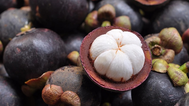 Manfaat Buah Manggis